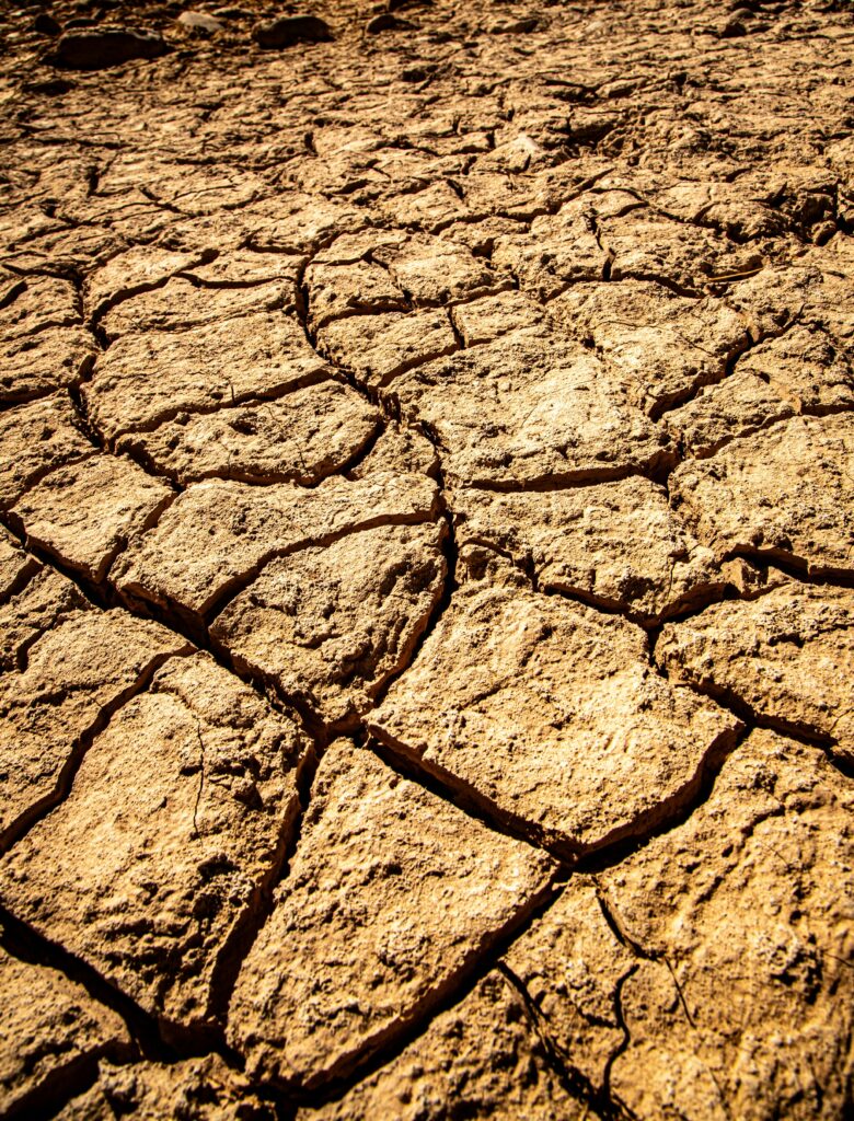 Planète Terre en détresse et environnement menacé